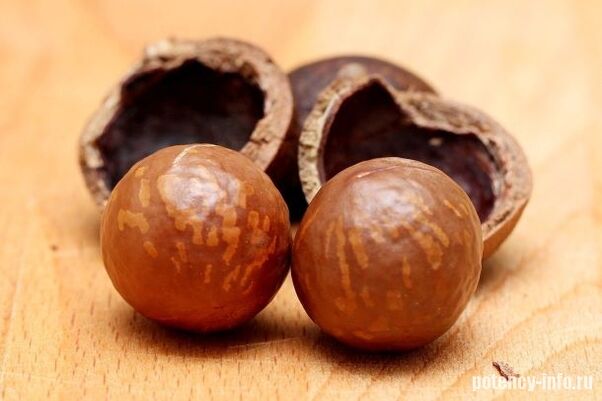 Macadamia para potência